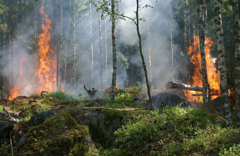 В Оренбуржье возникли пожары сразу в нескольких районах